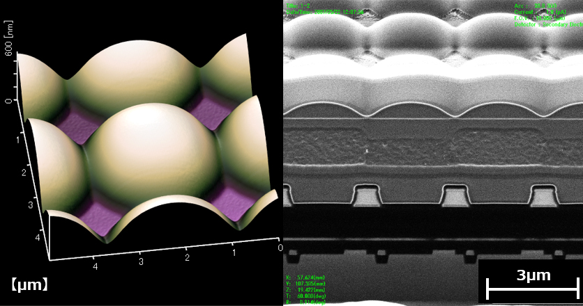 AFM表面測定及びFIB断面観察による構造解析