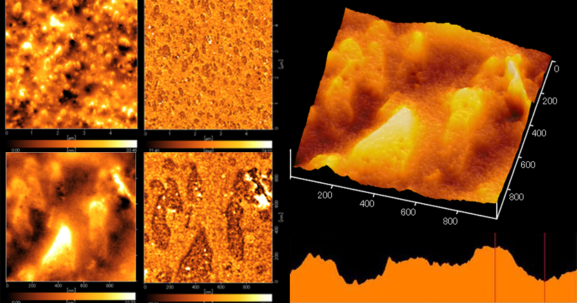 高分子材料のAFM観察(ミクロトームによる平滑化)