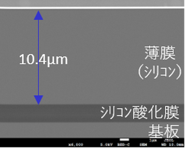 図3．断面SEM観察像