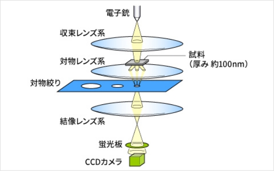 TEMの構成図