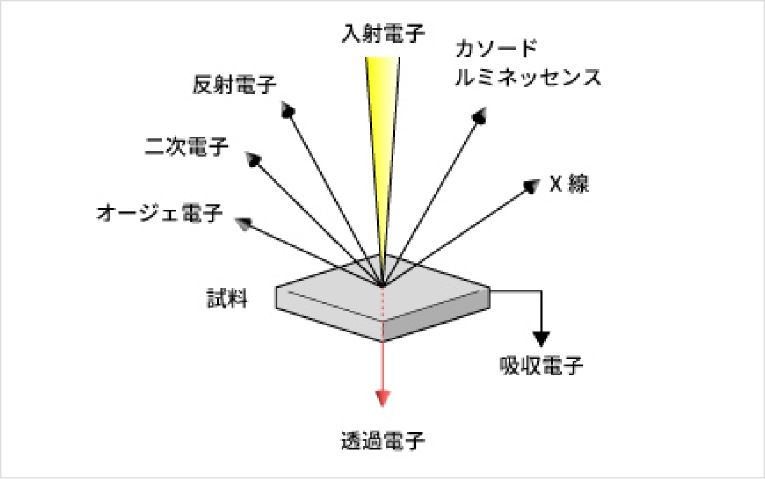 SPMの基本構成