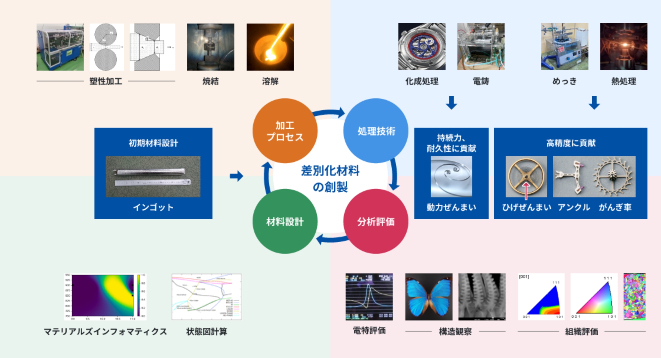 全体像